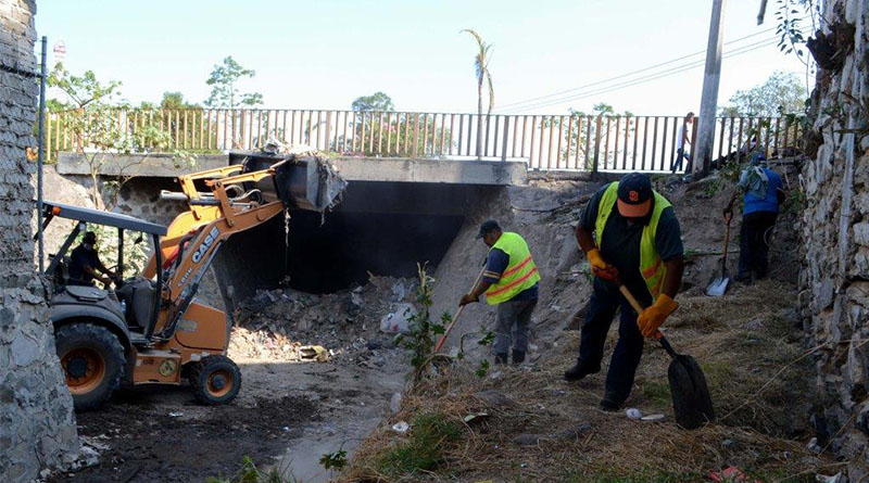 Boletin_temporal001