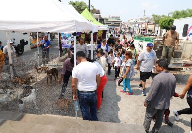 ARRANCÓ LA BRIGADA INTEGRAL DE BIENESTAR ANIMAL “HUELLITAS” 