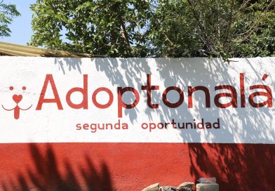 GOBIERNO DE TONALÁ FORTALECE EL BIENESTAR ANIMAL CON LA APERTURA DE «ADOPTONALÁ»