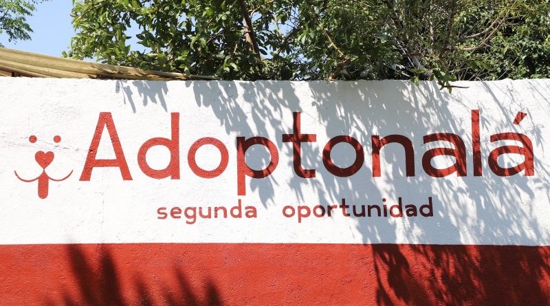GOBIERNO DE TONALÁ FORTALECE EL BIENESTAR ANIMAL CON LA APERTURA DE «ADOPTONALÁ»
